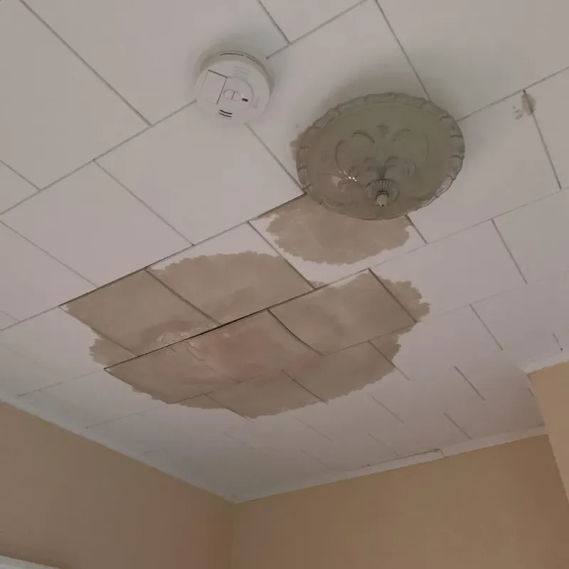 Ceiling Water Damage Repair in Northfield, MN